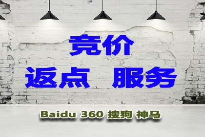 成功背后的力量：SEM推广代运营公司的故事